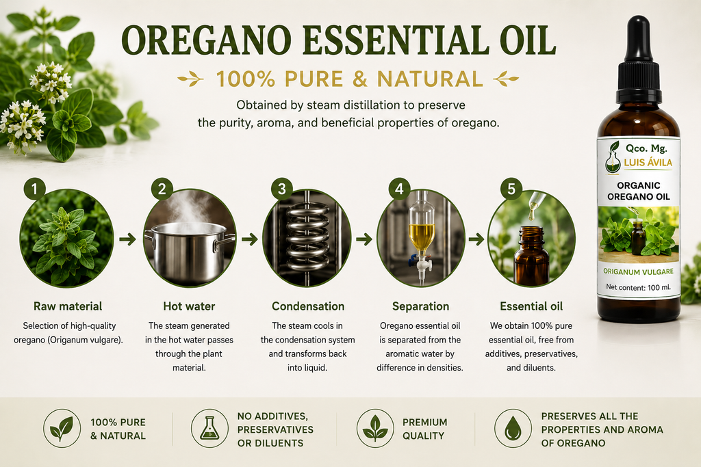 Aceite Botánico de Orégano Orgánico